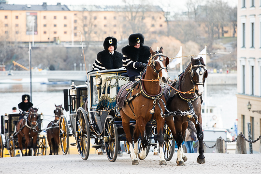 De nya ambassadörerna hämtas med häst och vagn på UD och färdas till Kungliga slottet. 