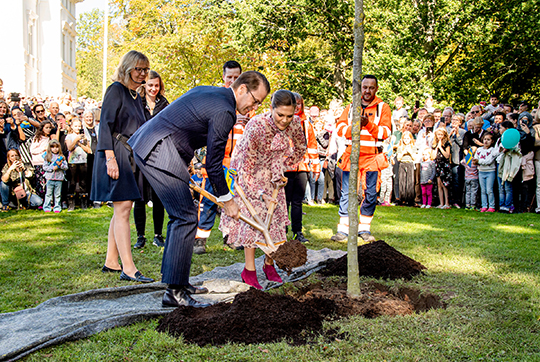 Kronprinsessparet planterar ett gulvedsträd vid Nolhaga slott. 