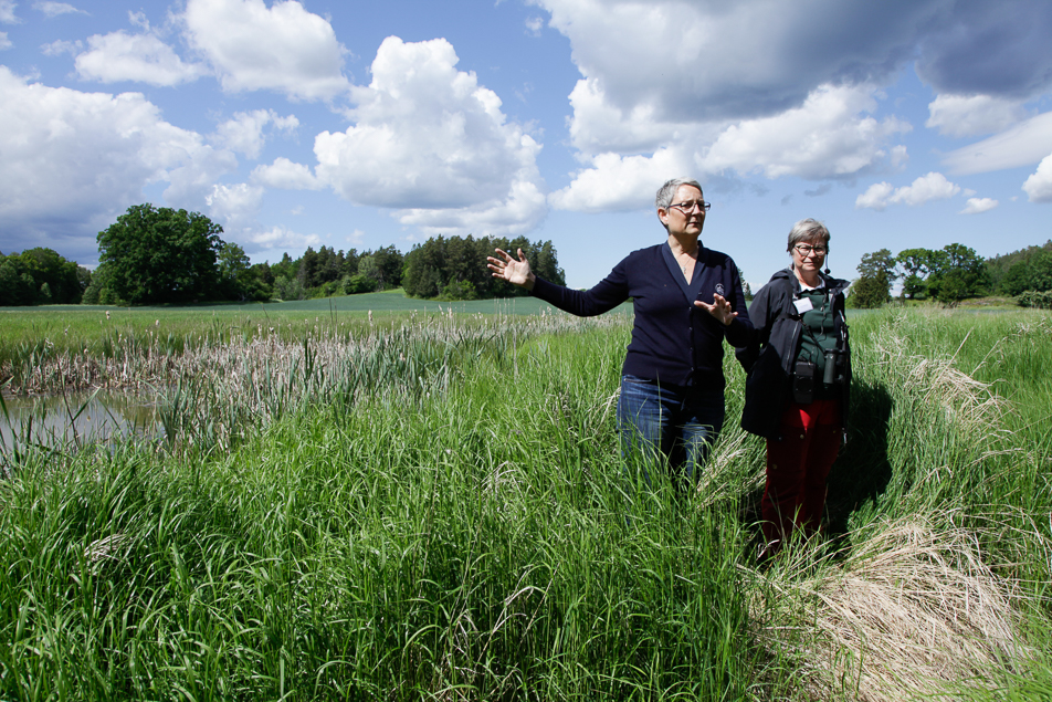 Karin Strandfager, naturvårdschef på Skärgårdsstiftelsen, och Yvonne Blombäck, senior programsamordnare för kust och skärgård på WWF, vid näringsfällan i Hansviken.