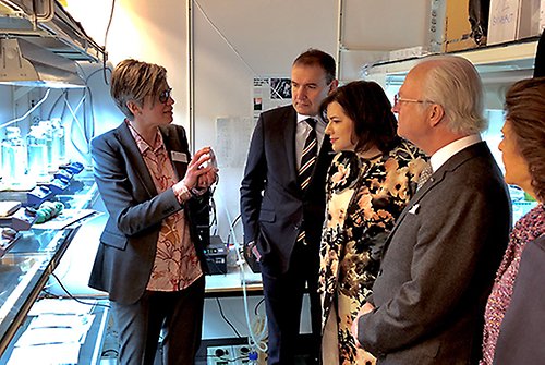Vid besöket på Ångströmlaboratoriet berättade Pia Lindberg, Institutionen för kemi, om odling av gröna celler. 