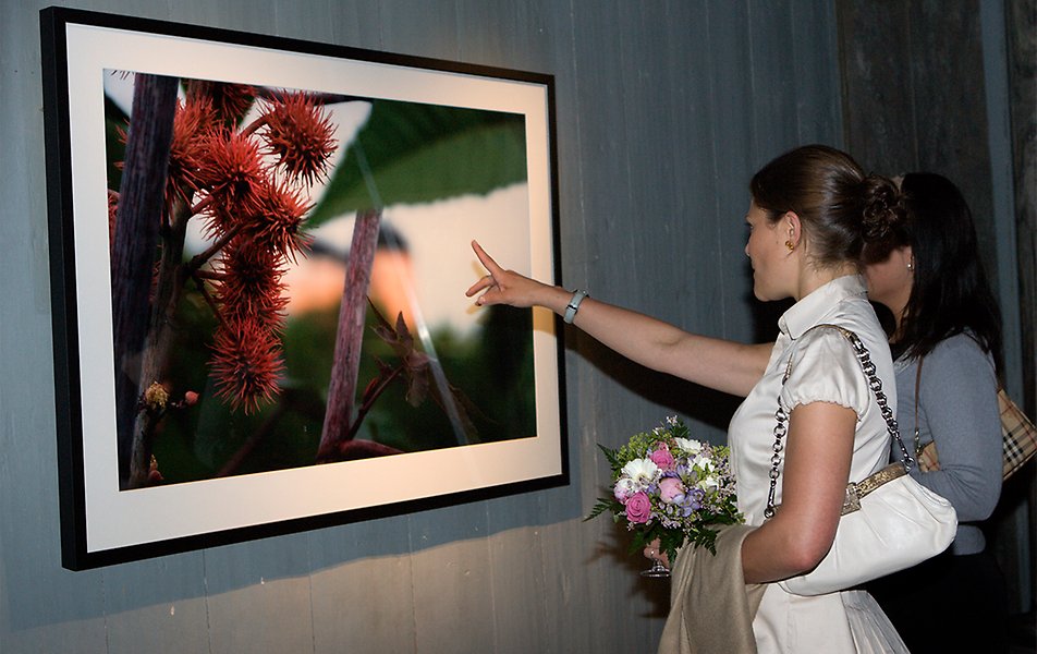 Prince Carl Philip's photographic exhibition A Glimpse of Paradise was shown at the Gustavianum Museum in Uppsala. Here, Crown Princess Victoria studies one of the Prince's images. 